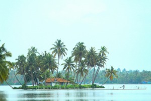 chillhouse_kochi_kochiculture